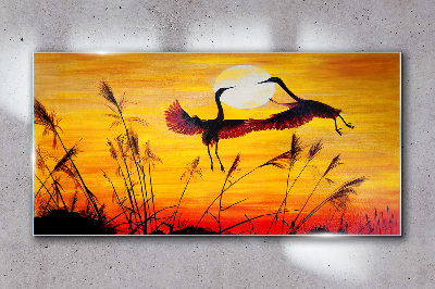 Obraz na skle Zvířata Birds Sunset
