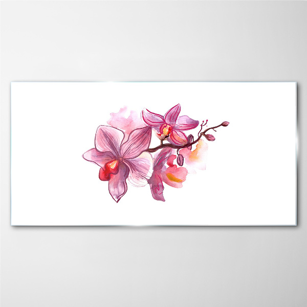 Obraz na skle Růžové orchideje na bílém pozadí