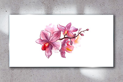 Obraz na skle Růžové orchideje na bílém pozadí
