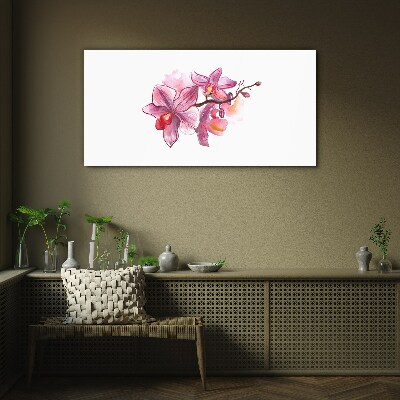 Obraz na skle Růžové orchideje na bílém pozadí