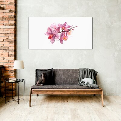 Obraz na skle Růžové orchideje na bílém pozadí