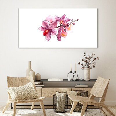 Obraz na skle Růžové orchideje na bílém pozadí