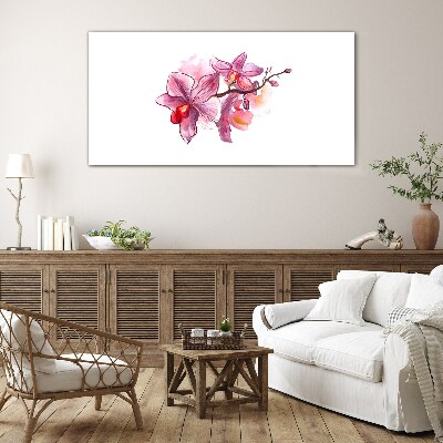 Obraz na skle Růžové orchideje na bílém pozadí