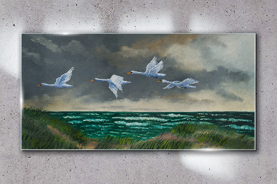 Obraz na skle Sea Sky Birds labutě