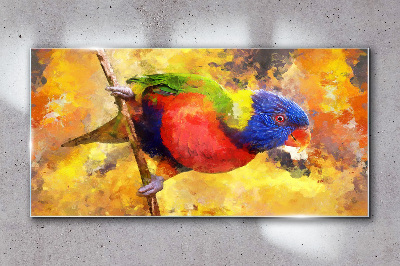 Obraz na skle Pobočka zvířecí pták papouška