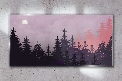 Obraz na skle Lesní obloha měsíc