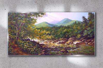 Obraz na skle Las River Stones Mountains