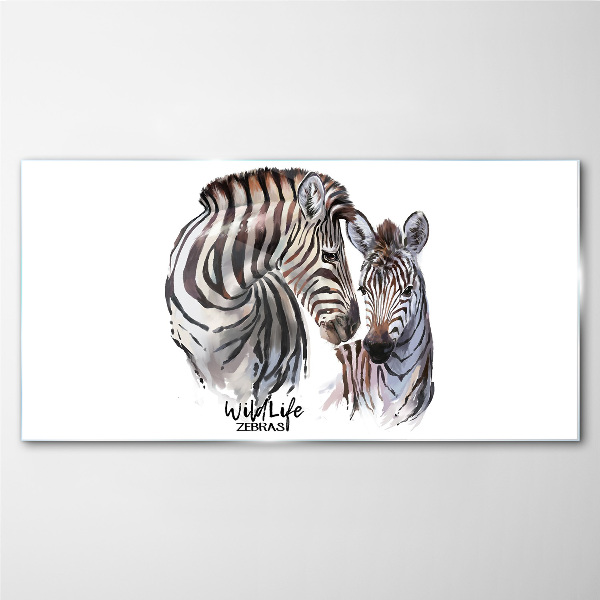 Obraz na skle Zebra ve volné přírodě