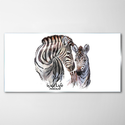Obraz na skle Zebra ve volné přírodě