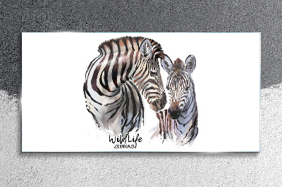 Obraz na skle Zebra ve volné přírodě