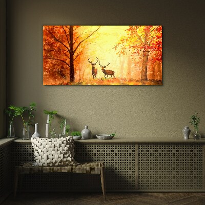 Obraz na skle Podzimní lesní jelen