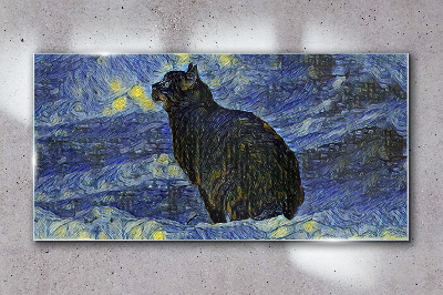 Obraz na skle Kočka na noční obloze