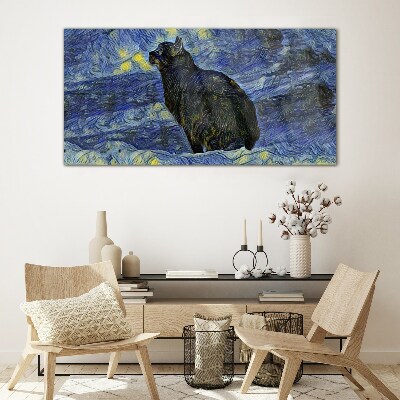 Obraz na skle Abstrakce kočka noční hvězda