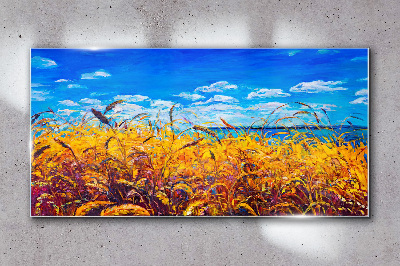 Obraz na skle Louka pšeničná obloha