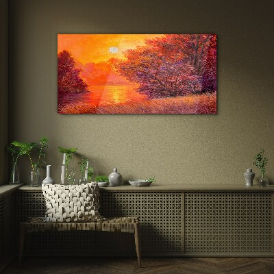 Obraz na skle Lesní řeka slunce krajina