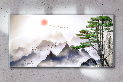 Obraz na skle Horské mlhy slunce strom