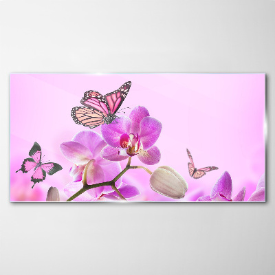 Obraz na skle Květiny přírody motýl
