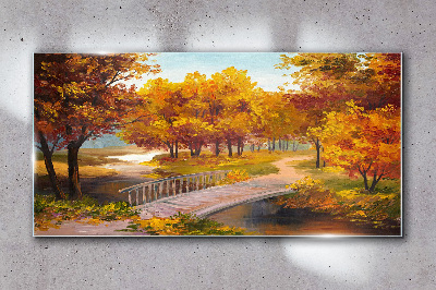 Obraz na skle Park Stromy podzimní listí