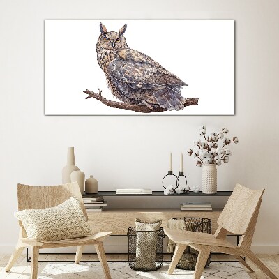 Obraz na skle Malování zvířecí pták sova