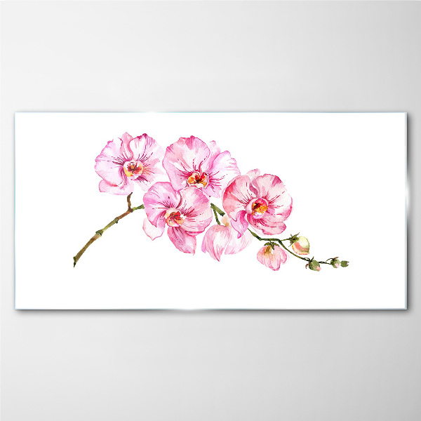 Obraz na skle Růžové orchideje na bílém pozadí