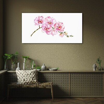Obraz na skle Růžové orchideje na bílém pozadí