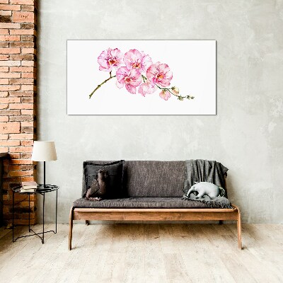Obraz na skle Růžové orchideje na bílém pozadí