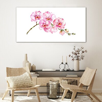 Obraz na skle Růžové orchideje na bílém pozadí