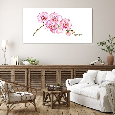 Obraz na skle Růžové orchideje na bílém pozadí