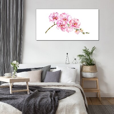 Obraz na skle Růžové orchideje na bílém pozadí