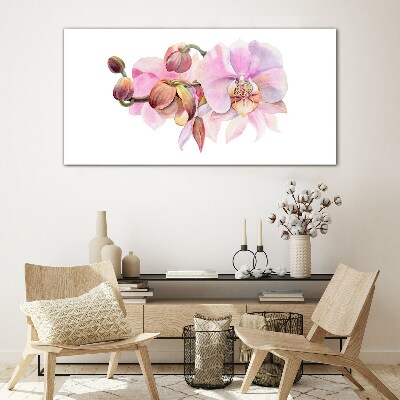 Obraz na skle Akvarel orchidej květina