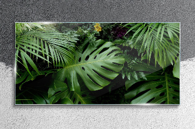 Obraz na skle Tropické džungle listy