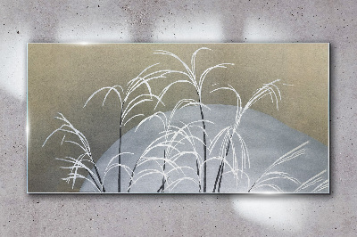 Obraz na skle Abstrakce rostlinný sníh \ t