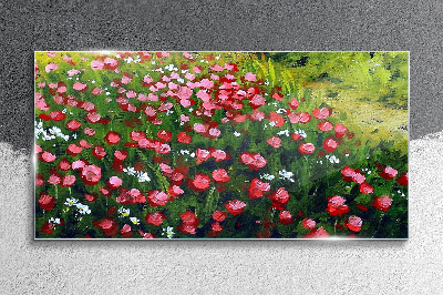 Obraz na skle Květiny pole příroda
