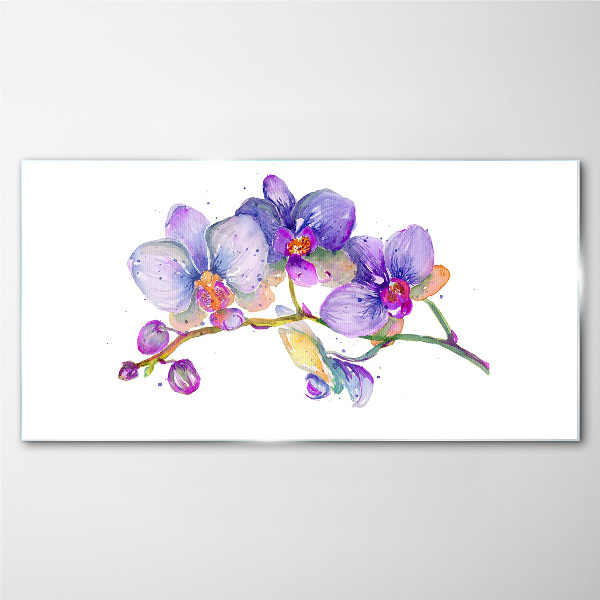 Obraz na skle Květinová krása orchidejí