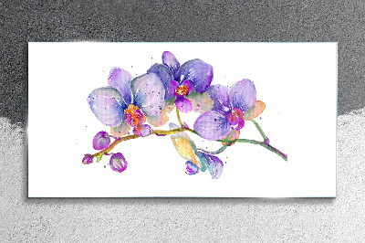Obraz na skle Květinová krása orchidejí