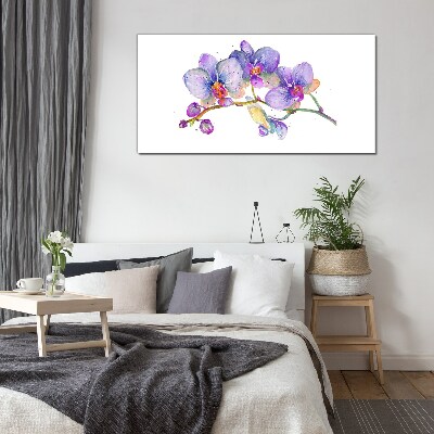 Obraz na skle Květinová krása orchidejí