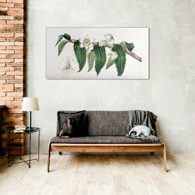 Obraz na skle Kreslení květinové větve orchideje