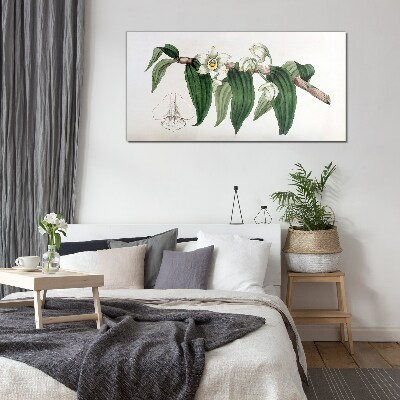 Obraz na skle Kreslení květinové větve orchideje