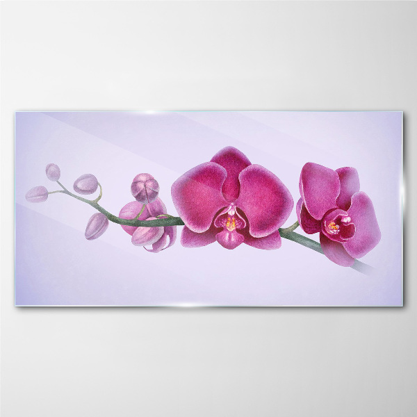 Obraz na skle Orchideje v jemných odstínech růžové