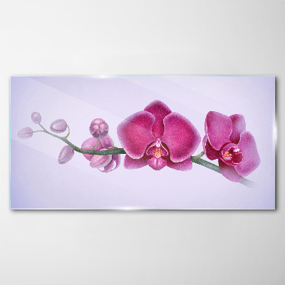 Obraz na skle Orchideje v jemných odstínech růžové