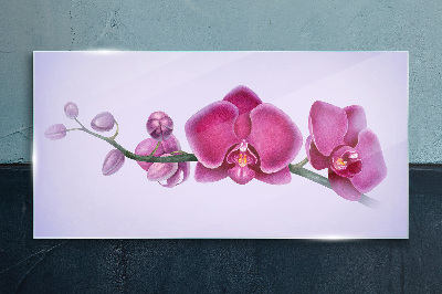 Obraz na skle Orchideje v jemných odstínech růžové