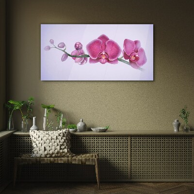 Obraz na skle Orchideje v jemných odstínech růžové