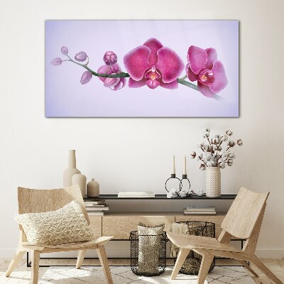 Obraz na skle Akvarel květina větev orchidej