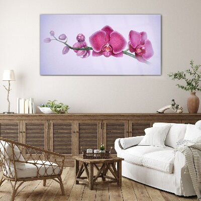 Obraz na skle Orchideje v jemných odstínech růžové