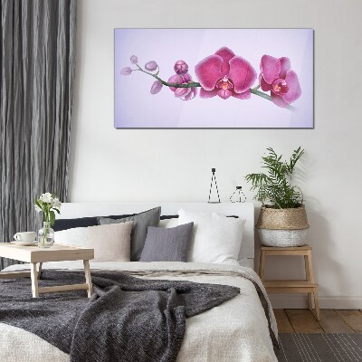 Obraz na skle Orchideje v jemných odstínech růžové