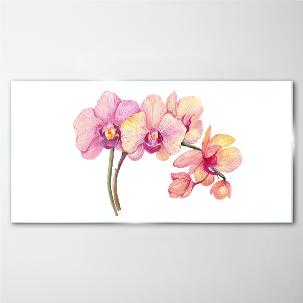 Obraz na skle Květinová krása orchidejí