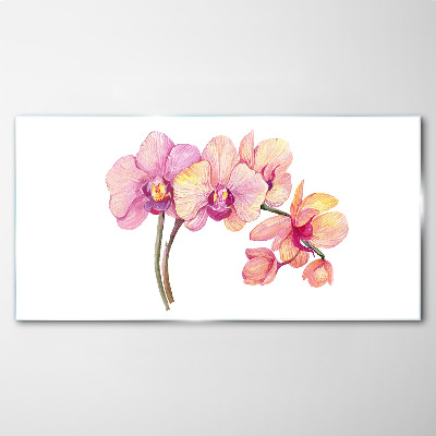 Obraz na skle Květinová krása orchidejí