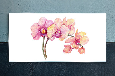 Obraz na skle Květinová krása orchidejí
