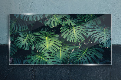 Obraz na skle Tropická zelená v listech Monstera
