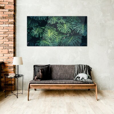 Obraz na skle Tropická zelená v listech Monstera